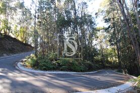 Terreno R�stico - REBORDELO, Amarante, Porto - Miniatura: 1/4