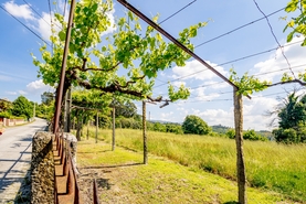 Moradia T3 - Lufrei, Amarante, Porto - Miniatura: 29/47