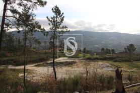 Terreno R�stico - Salvador do Monte, Amarante, Porto - Miniatura: 10/15