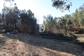 Terreno R�stico - Tel�es, Amarante, Porto - Miniatura: 2/17