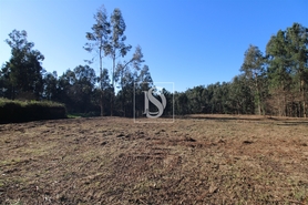 Terreno R�stico - Tel�es, Amarante, Porto - Miniatura: 3/17