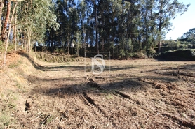 Terreno R�stico - Tel�es, Amarante, Porto - Miniatura: 4/17