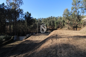 Terreno R�stico - Tel�es, Amarante, Porto - Miniatura: 5/17