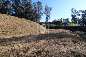 Terreno R�stico - Tel�es, Amarante, Porto - Miniatura: 6/17