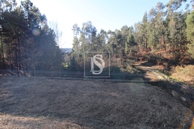 Terreno R�stico - Tel�es, Amarante, Porto - Miniatura: 7/17