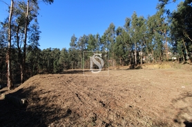 Terreno R�stico - Tel�es, Amarante, Porto - Miniatura: 8/17