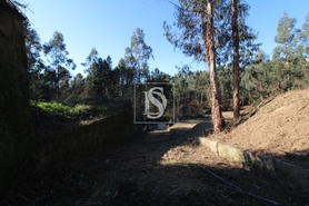 Terreno R�stico - Tel�es, Amarante, Porto - Miniatura: 9/17