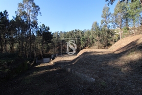 Terreno R�stico - Tel�es, Amarante, Porto - Miniatura: 10/17