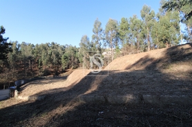 Terreno R�stico - Tel�es, Amarante, Porto - Miniatura: 12/17