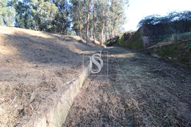 Terreno R�stico - Tel�es, Amarante, Porto - Miniatura: 14/17