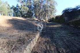 Terreno R�stico - Tel�es, Amarante, Porto - Miniatura: 15/17