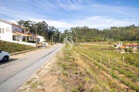Terreno R�stico - Vila Garcia, Amarante, Porto - Miniatura: 8/11