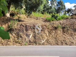 Terreno R�stico T0 - Espadanedo, Cinf�es, Viseu - Miniatura: 3/12
