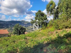 Terreno R�stico T0 - Espadanedo, Cinf�es, Viseu - Miniatura: 6/12