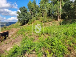 Terreno R�stico T0 - Espadanedo, Cinf�es, Viseu - Miniatura: 7/12