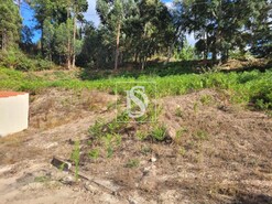 Terreno R�stico T0 - Espadanedo, Cinf�es, Viseu - Miniatura: 9/12