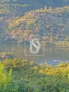 Terreno R�stico T0 - Anreade, Resende, Viseu - Miniatura: 1/1