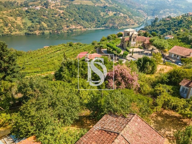 Quinta > T6 - Anreade, Resende, Viseu - Imagem grande