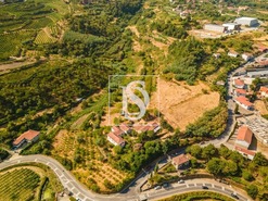 Quinta > T6 - Anreade, Resende, Viseu - Miniatura: 29/32