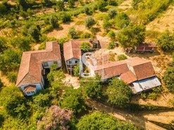 Quinta > T6 - Anreade, Resende, Viseu - Miniatura: 31/32