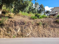 Terreno R�stico - Espadanedo, Cinf�es, Viseu - Miniatura: 7/12