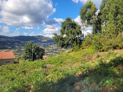 Terreno R�stico - Espadanedo, Cinf�es, Viseu - Miniatura: 8/12