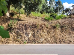 Terreno R�stico - Espadanedo, Cinf�es, Viseu - Miniatura: 10/12