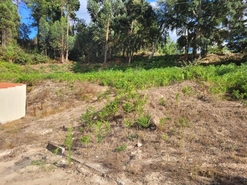 Terreno R�stico - Espadanedo, Cinf�es, Viseu - Miniatura: 11/12