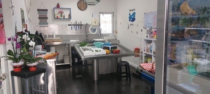 Loja - Alfena, Valongo, Porto - Miniatura: 3/11