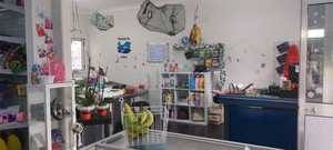 Loja - Alfena, Valongo, Porto - Miniatura: 5/11