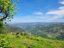 Moradia T1 - Cinf�es, Cinf�es, Viseu - Miniatura: 2/8