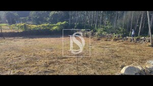 Terreno Urbano - Alfena, Valongo, Porto - Miniatura: 15/21