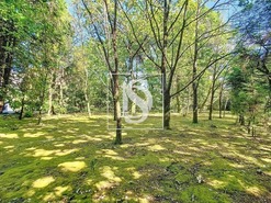 Quinta T3 - Ermesinde, Valongo, Porto - Miniatura: 38/48