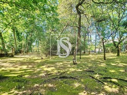 Quinta T3 - Ermesinde, Valongo, Porto - Miniatura: 40/48