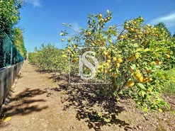 Quinta T3 - Ermesinde, Valongo, Porto - Miniatura: 45/48