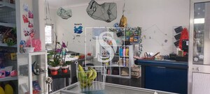 Loja T0 - Aboadela, Amarante, Porto - Miniatura: 8/11