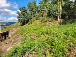 Terreno R�stico - Espadanedo, Cinf�es, Viseu - Miniatura: 12/12