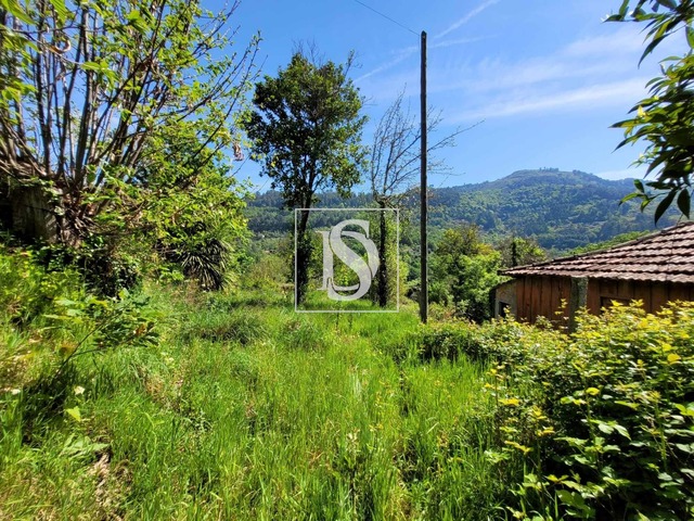 Ruina T1 - Cinfães, Cinfães, Viseu - Imagem grande