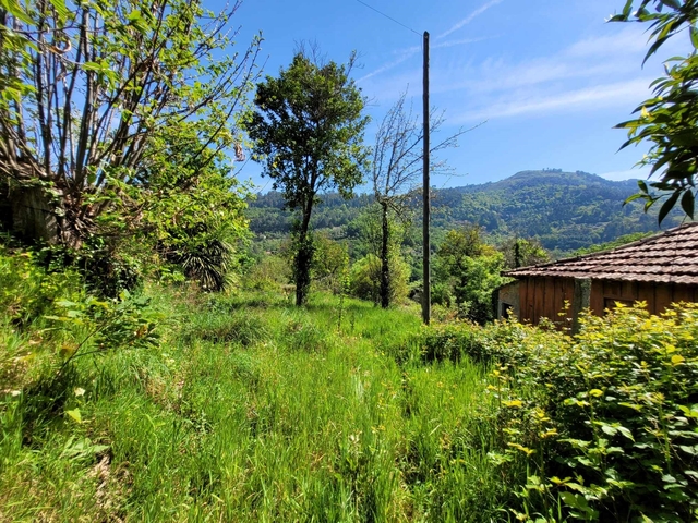 Moradia T1 - Cinf�es, Cinf�es, Viseu - Imagem grande