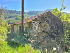 Ruina T1 - Cinfes, Cinfes, Viseu - Miniatura: 1/11