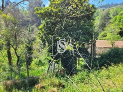 Ruina T1 - Cinfes, Cinfes, Viseu - Miniatura: 2/11