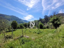 Ruina T1 - Cinfes, Cinfes, Viseu - Miniatura: 5/11