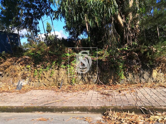 Terreno R�stico T0 - Alfena, Valongo, Porto - Imagem grande