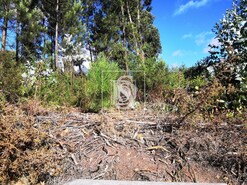 Terreno R�stico T0 - Alfena, Valongo, Porto - Miniatura: 6/10