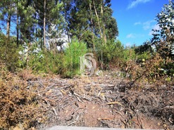 Terreno R�stico T0 - Alfena, Valongo, Porto - Miniatura: 7/10