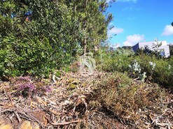 Terreno R�stico T0 - Alfena, Valongo, Porto - Miniatura: 9/10