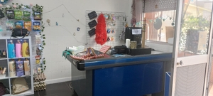 Loja - Alfena, Valongo, Porto - Miniatura: 10/11