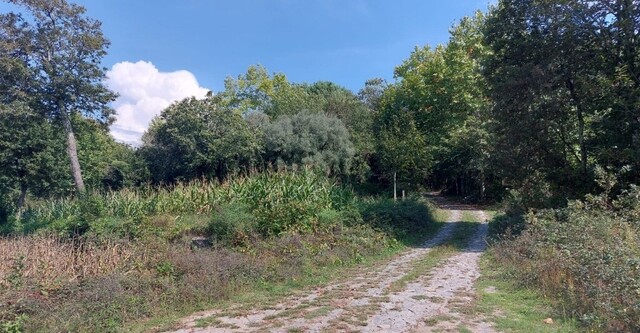 Terreno R�stico - Torre, Amares, Braga - Imagem grande