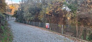 Terreno R�stico - Vilela, Amares, Braga