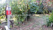 Terreno R�stico - Go�es, Amares, Braga - Miniatura: 1/6